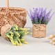 Artificial Plants